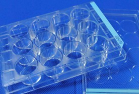 12��ƽ��ϸ��������