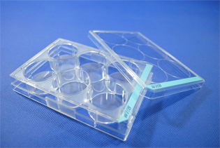 6��ƽ��ϸ��������