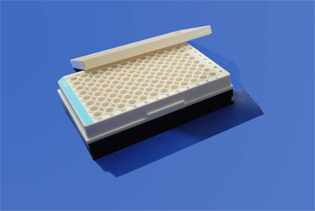 96�׷����/96��ȫ��ϸ��������