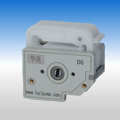 ��Ӧ����DG��ͷ