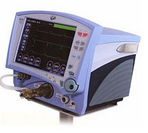 ��������ά��������