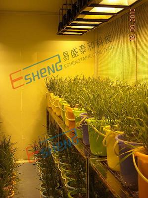 ���ù�Դ�˹�������