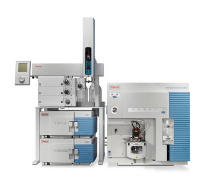 Һ��������