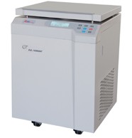 �����䶳���Ļ�