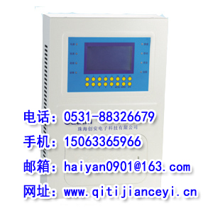 ��ȼ���屨����CA-2100E��