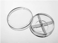 35mm ��ײ�����(���������󣬼��⹲�۽�ר��������)