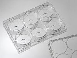 6 �ײ��װ壨���⹲�۽�ר�������壩