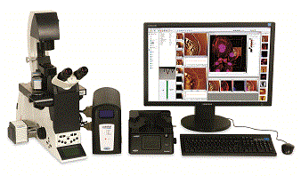 ����ר��AFM��ɨ�跶Χ��³��Catalyst