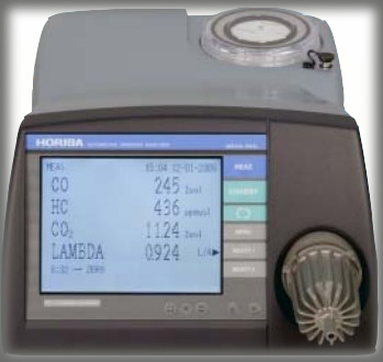 �����ŷŷ���������