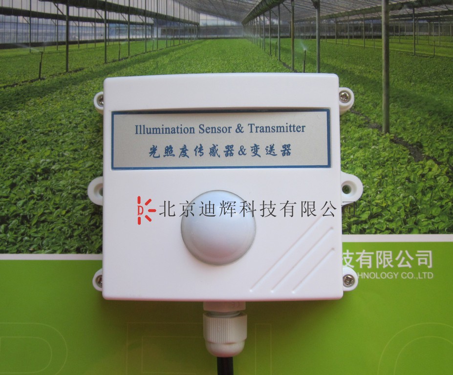 ���նȱ�������������