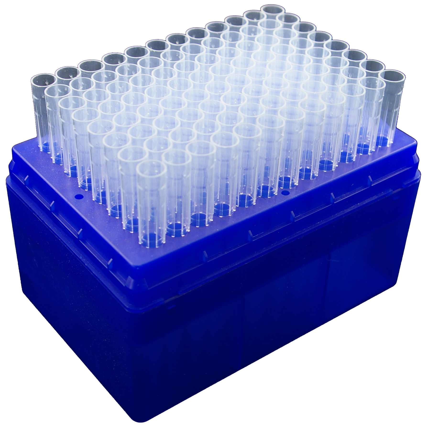 ��������ͷ