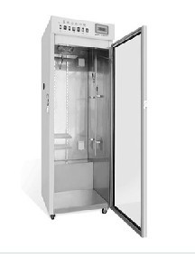 ����ʵ�����