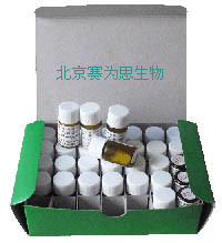 ҩ��ֽƬ�����������ڣ�