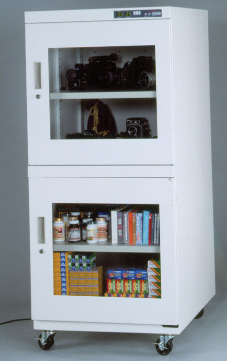 ���Ӹ����