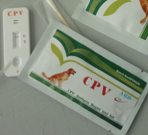 ȮϸС�������ټ�⿨