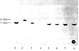 �ΰ�QGY-7703 �۸�ʵ��13661576245