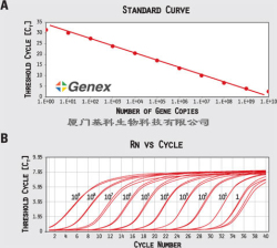 ʵʱӫ��PCR��real time PCR����������