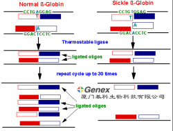 ����ø��ʽ��Ӧ��LCR����������