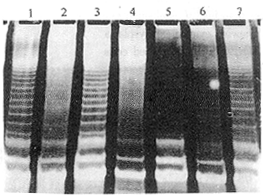 �鰩BT-20 �۸�ʵ��13764820942