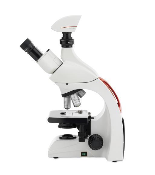 ��ѧ��΢��