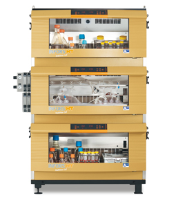 ȫ����ϸ����������