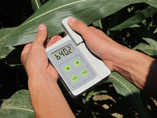 Ҷ���زⶨ��