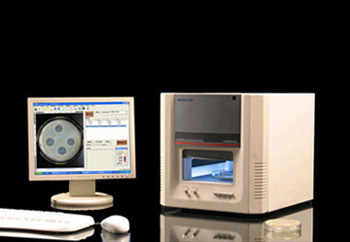 Ѹ��Z8�־�Ȧ(������Ч��)������