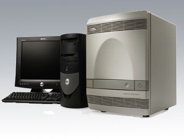 ר�޽���PCR�� ���Ļ� ����� �������