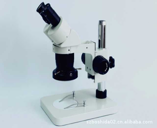 ��Ӧ ������10X20X 10X30X 20X 40X������