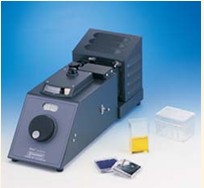 ֱ��ֱ������ɫ��