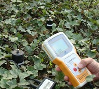 �����¶ȡ�ˮ�֡��η��������ٲ���