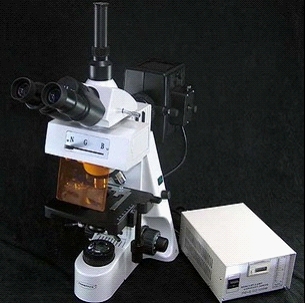 ����ӫ����΢��/ӫ����΢��/������΢��