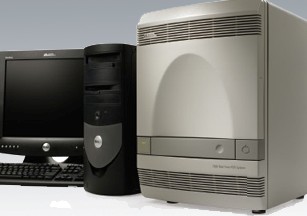 רҵά��ABIʵʱӫ�ⶨ��PCR��A