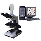 ��Ŀ��������΢��/������������΢��