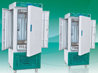 ����������/�������������