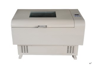 ��ʽҡ�������´����䣩