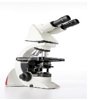 ����Ӧ����΢��