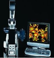 ���Զ����ܵ�����΢��