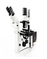 �߼�������΢��