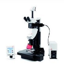 ����ӫ����΢��