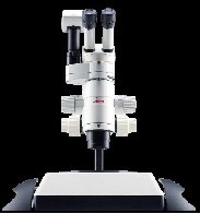 Mϵ��������΢��