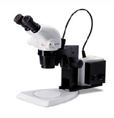 Sϵ��������΢��