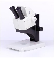 ��ѧ������΢��