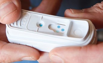 ����ʿIDEXX��������+�Ļ���