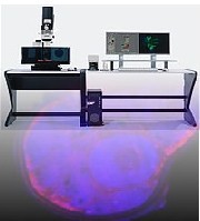 ���⹲�۽�����ӫ����΢��