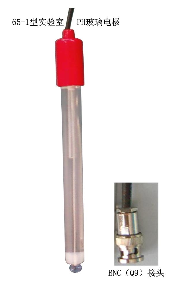 65-1��ʵ����PH�����缫��PH�����缫