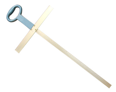 ���ֳ�/���ֳ�