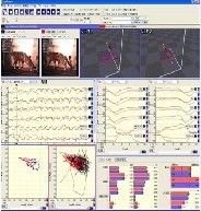 ����3D��̬����ϵͳ