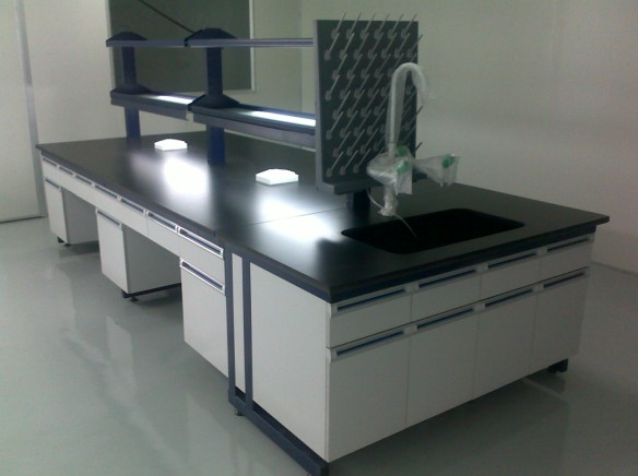 ��ľʵ����