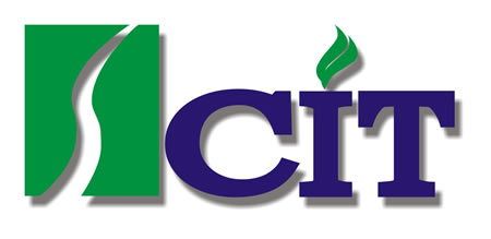 �Ĵ����ؼ�⼼���������ι�˾